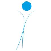 VID detail logo